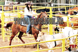 DSCN6011-133TOPCAVALOS RANCH SORTING