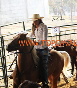 IMG_2094TOPCAVALOS