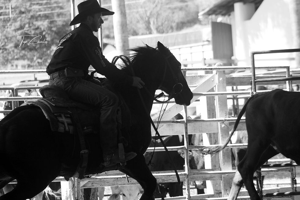 IMG_9096 ranch sorting