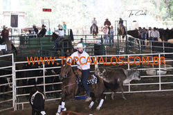 IMG_0580TOPCAVALOS