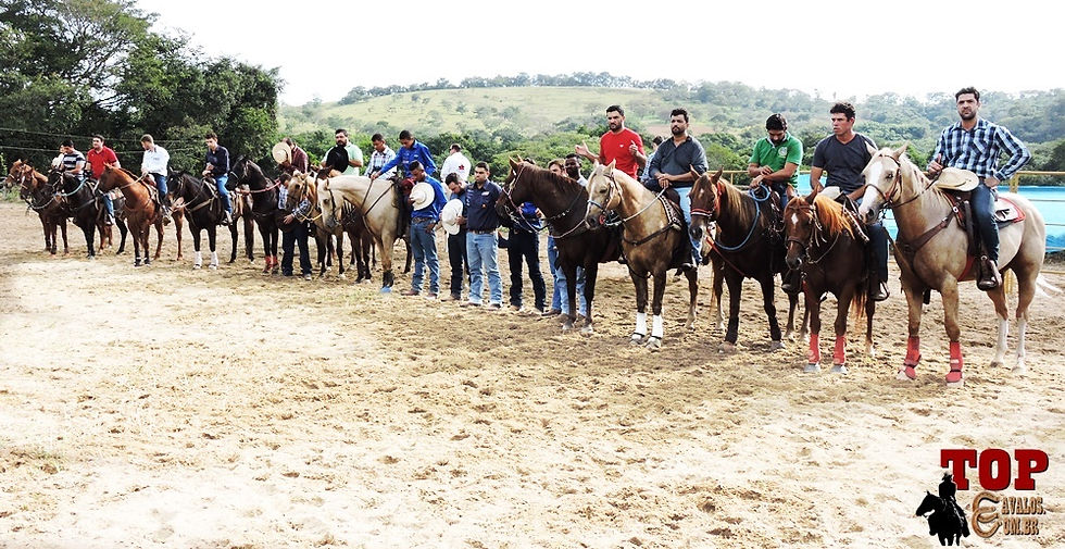 DSCN6763-006WORKING PENNING CAVALO QUART