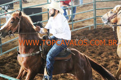 IMG_1496TOPCAVALOS