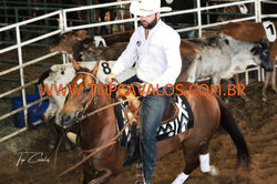 IMG_2279TOPCAVALOS