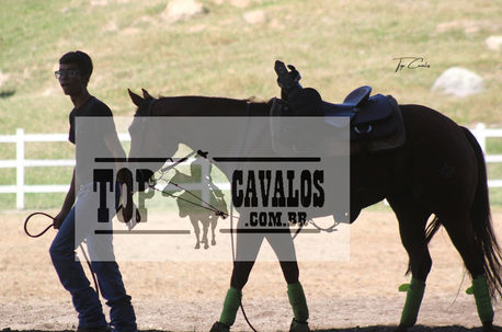 IMG_4344TOPCAVALOS.JPG