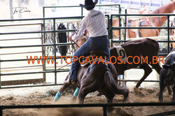 IMG_1326TOPCAVALOS