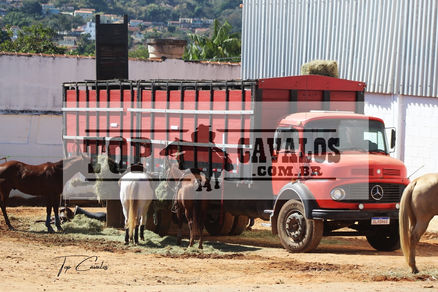 IMG_1896TOPCAVALOS.JPG