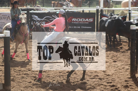 IMG_3026TOPCAVALOS.JPG