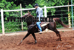 IMG_6977TOPCAVALOS.COM.BR