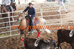 IMG_0759TOPCAVALOS