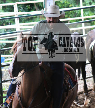 IMG_0024TOPCAVALOS.JPG