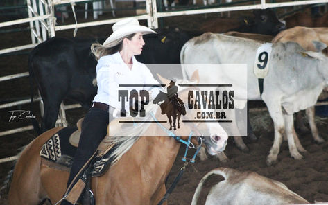 IMG_0015TOPCAVALOS.JPG