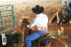 IMG_0478TOPCAVALOS