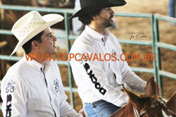 IMG_1671TOPCAVALOS