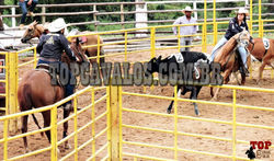 DSCN5780-044TOPCAVALOS RANCH SORTING