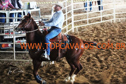 IMG_0365TOPCAVALOS
