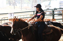 IMG_1868TOPCAVALOS