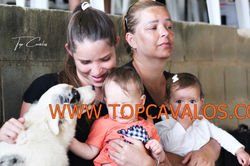 IMG_2508TOPCAVALOS