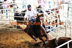 IMG_2744TOPCAVALOS