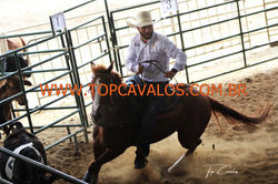 IMG_1531TOPCAVALOS