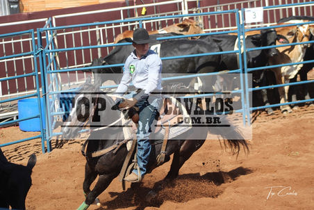 IMG_1749TOPCAVALOS.JPG