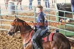 IMG_1685TOPCAVALOS