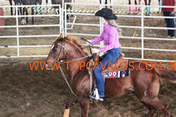IMG_0654TOPCAVALOS