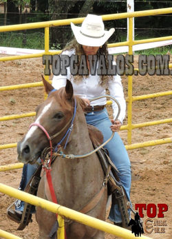 DSCN5814-061TOPCAVALOS RANCH SORTING
