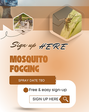 Brown and White Modern Mosquito Fogging Instagram Feed Ad (4.25 x 5.5 in) (Instagram Story