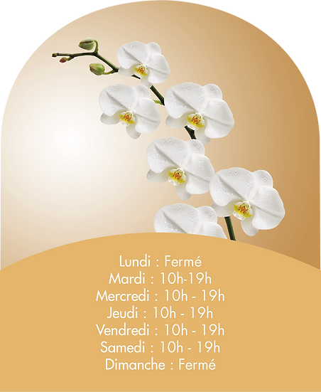 accueil2.png
