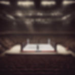 boxing ring in stadium.jpg