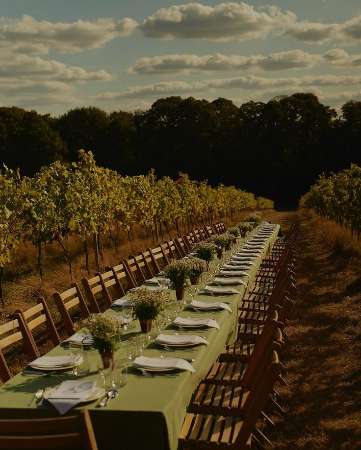 Sip, Savor & Indulge: Part II