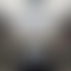 три книги Зоряний птах на фоні школи