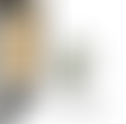 Ⅲ　オルビガーノ