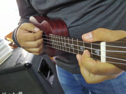 Ukeleles
