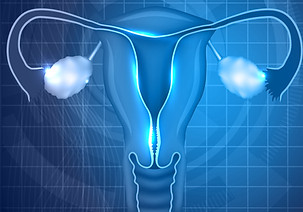 isteroscopia diagnostica.jpg