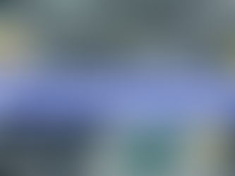  A Social Stimulus Package: Worth more to business and consumers