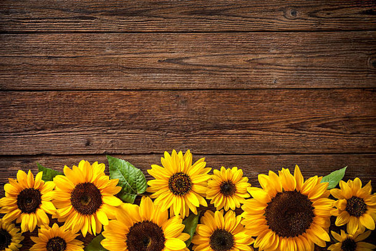 istockphoto-599141492-612x612.jpg