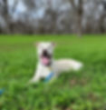 20211225_124446_edited.jpg