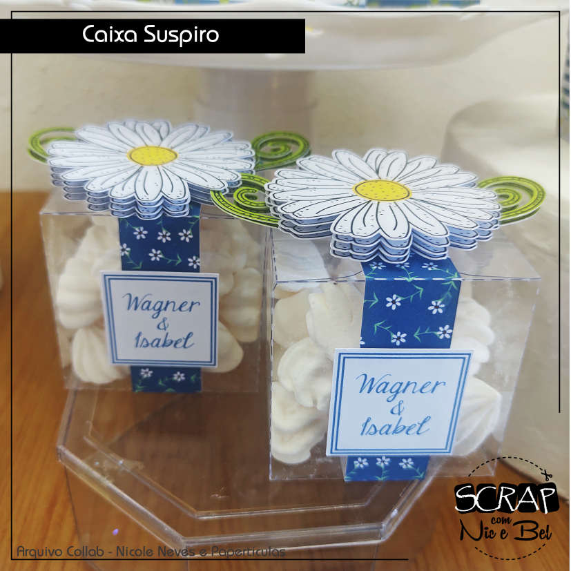 CAIXA ACETATO - PRINTABLE