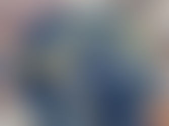 A blue globe with a network symbol around it, surrounded by arms and hands holding the globe. The text across the globe states Expatpreneur.