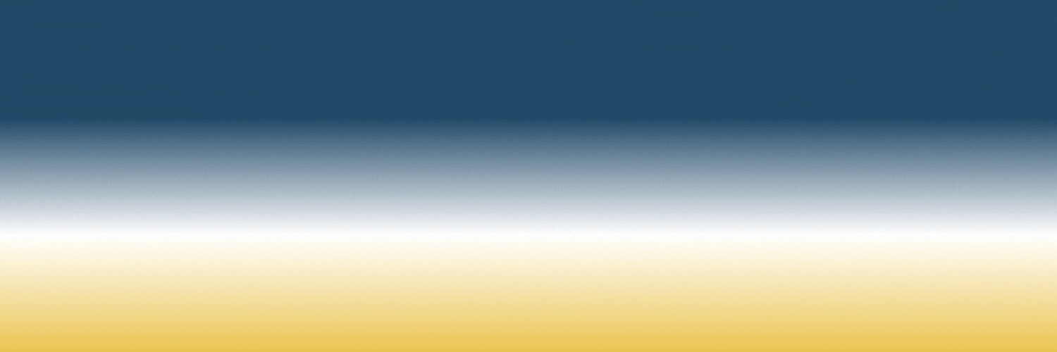 Animated website banner with a blue-to-gold gradient background featuring the text “Website Design Discovery Call, Let’s Bring Your Vision to Life,” designed for a Wix services page.