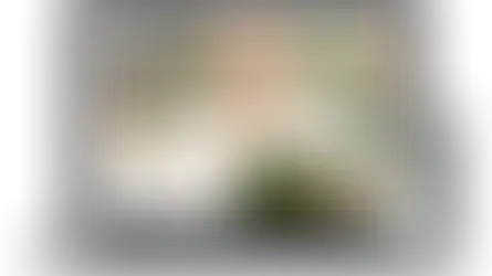 Elegant multilingual wedding celebrant website preview on laptop and mobile, showcasing a Tuscany ceremony and a responsive bridal industry website design.