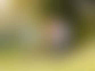 Why a Family Bike Tour is the Perfect Tuscany Experience