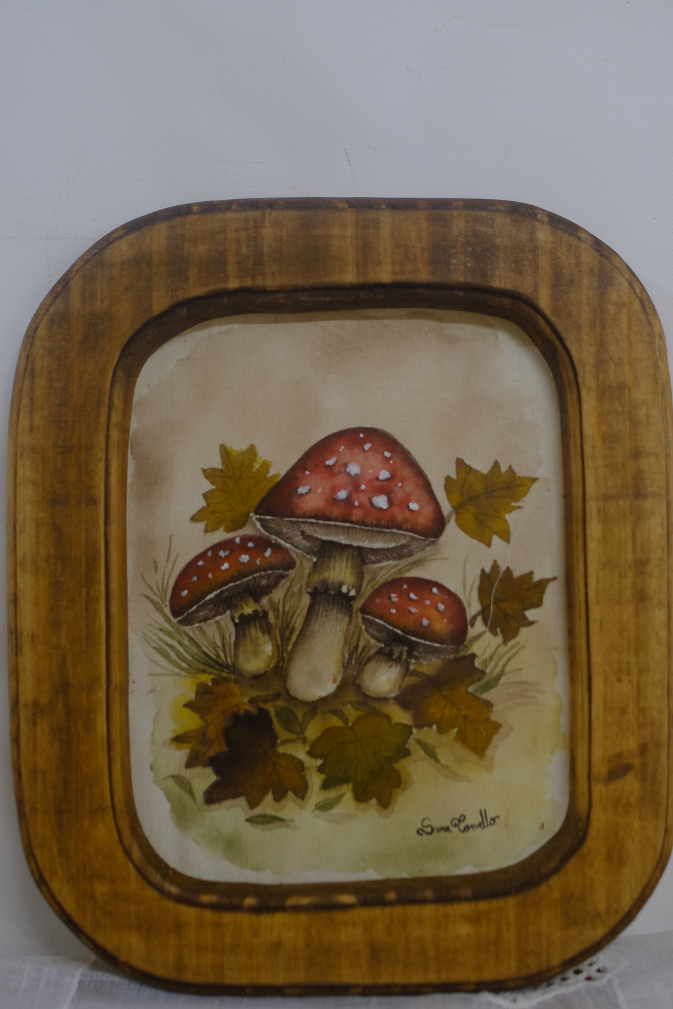 Miniatura: Quadro Cogumelos