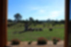 Kitchen View 2.JPG