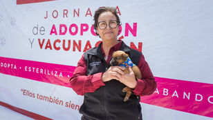 Gobierno de Playas de Rosarito fortalece acciones de protección y bienestar animal