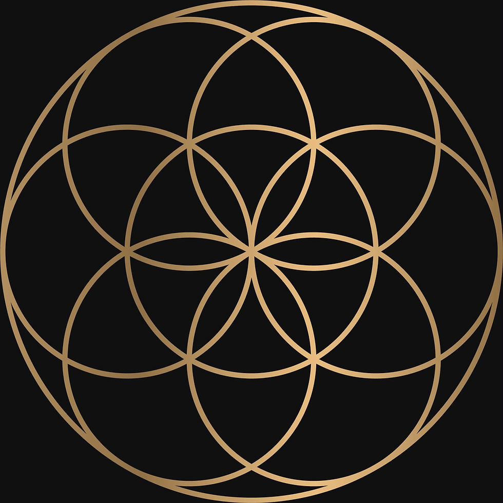 Messenger_creation_E5CAD82A-D98F-4E3D-B722-0302B1EC6EF2.png