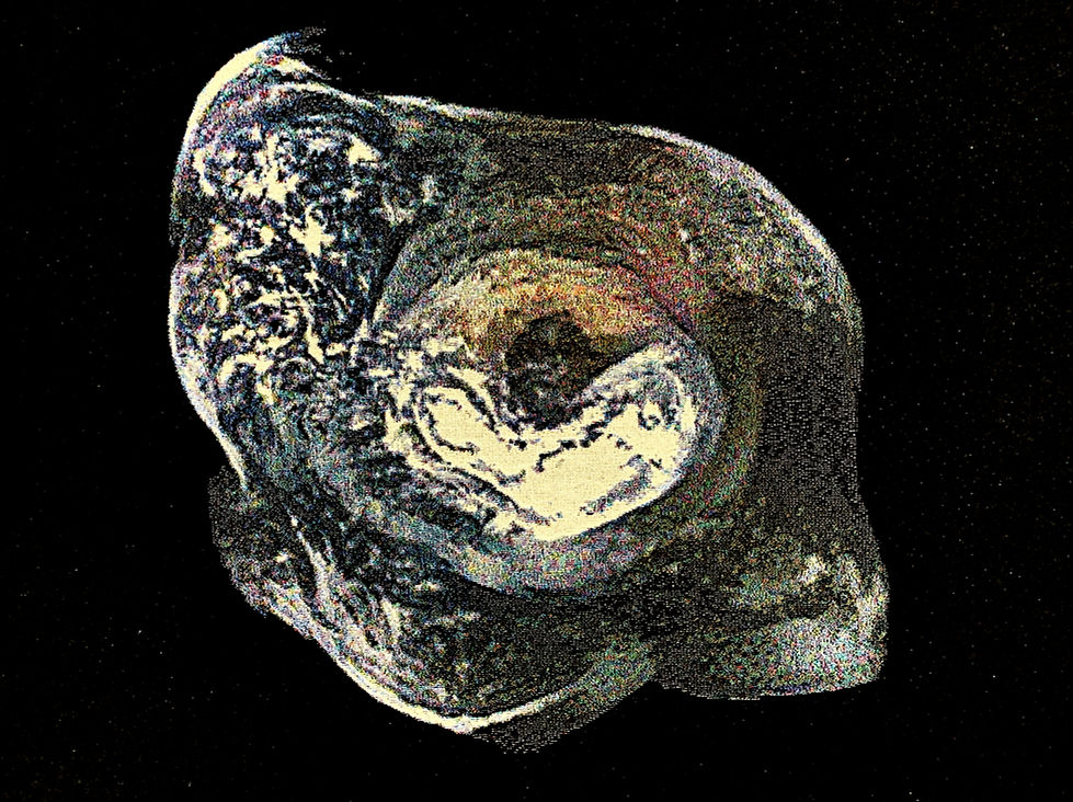 RosalenaExitpoint_4 copy.jpg