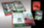 Real Estate Collateral
