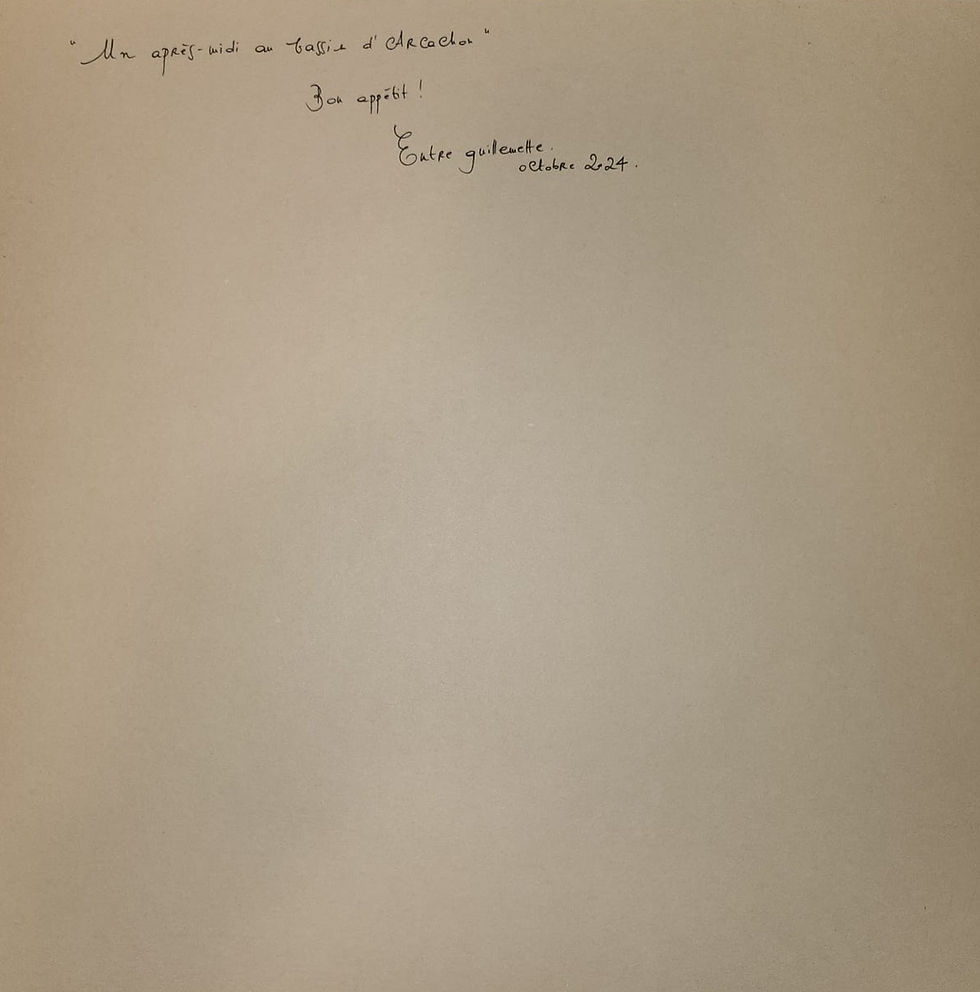 Miniature : Un Après-midi au Bassin d'Arcachon |  Entre Guillemette